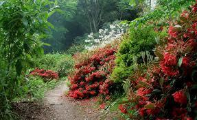 Achamore Gardens