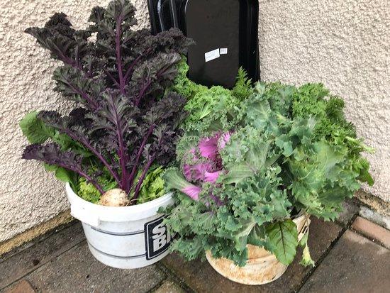 Lorna's Larder