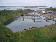 Lamb Holm