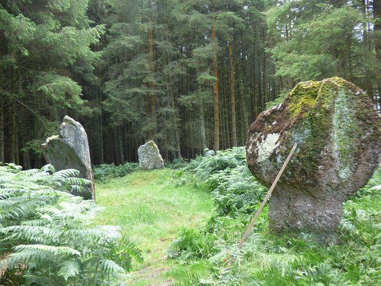 Kingarth Standing Stones