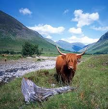 West Highland Way