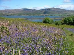 Loch Tuath