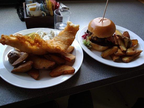 The Hungry Gull