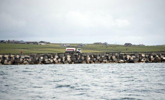 Dawn Star Boat Tours