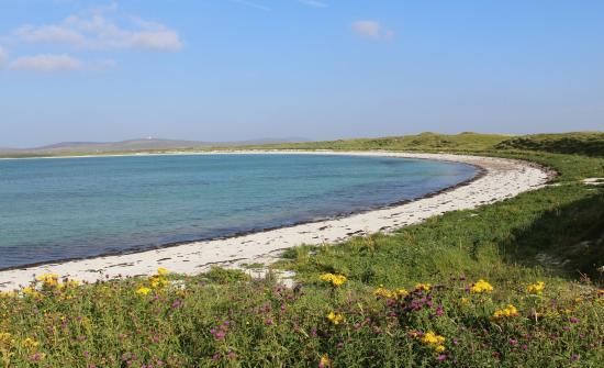 RSPB Balranald