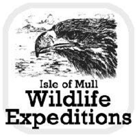 Isle Of Mull Wildlife Expeditions