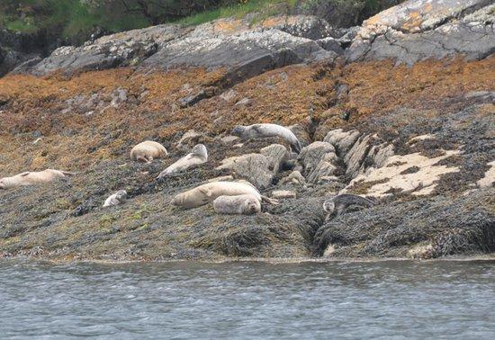 Ardnamurchan Charters