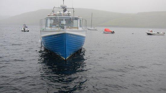 Wild Skye Boat Trips