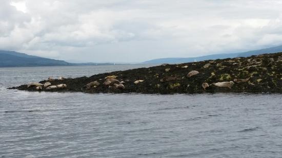 Allan's Boat Trips