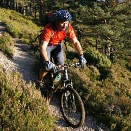 TREKnTRAIL Day Trips