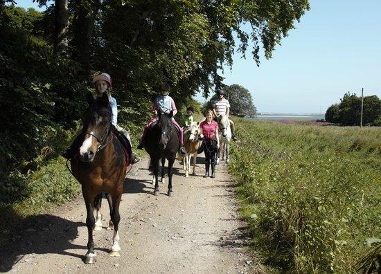 Cambusmore Riding Centre