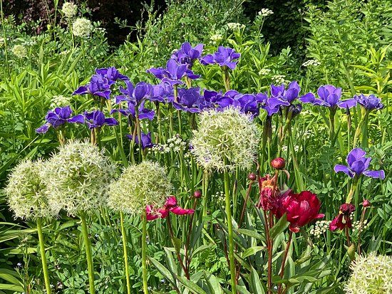 Bolfracks Garden