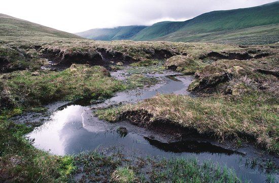 Ben Wyvis National Nature Reserve