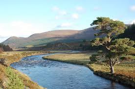 River Feshie