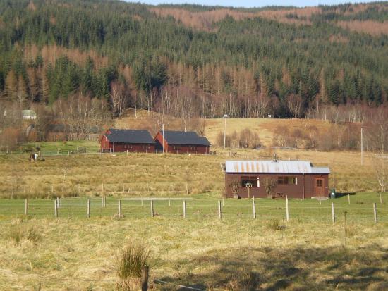 Tulloch Farm